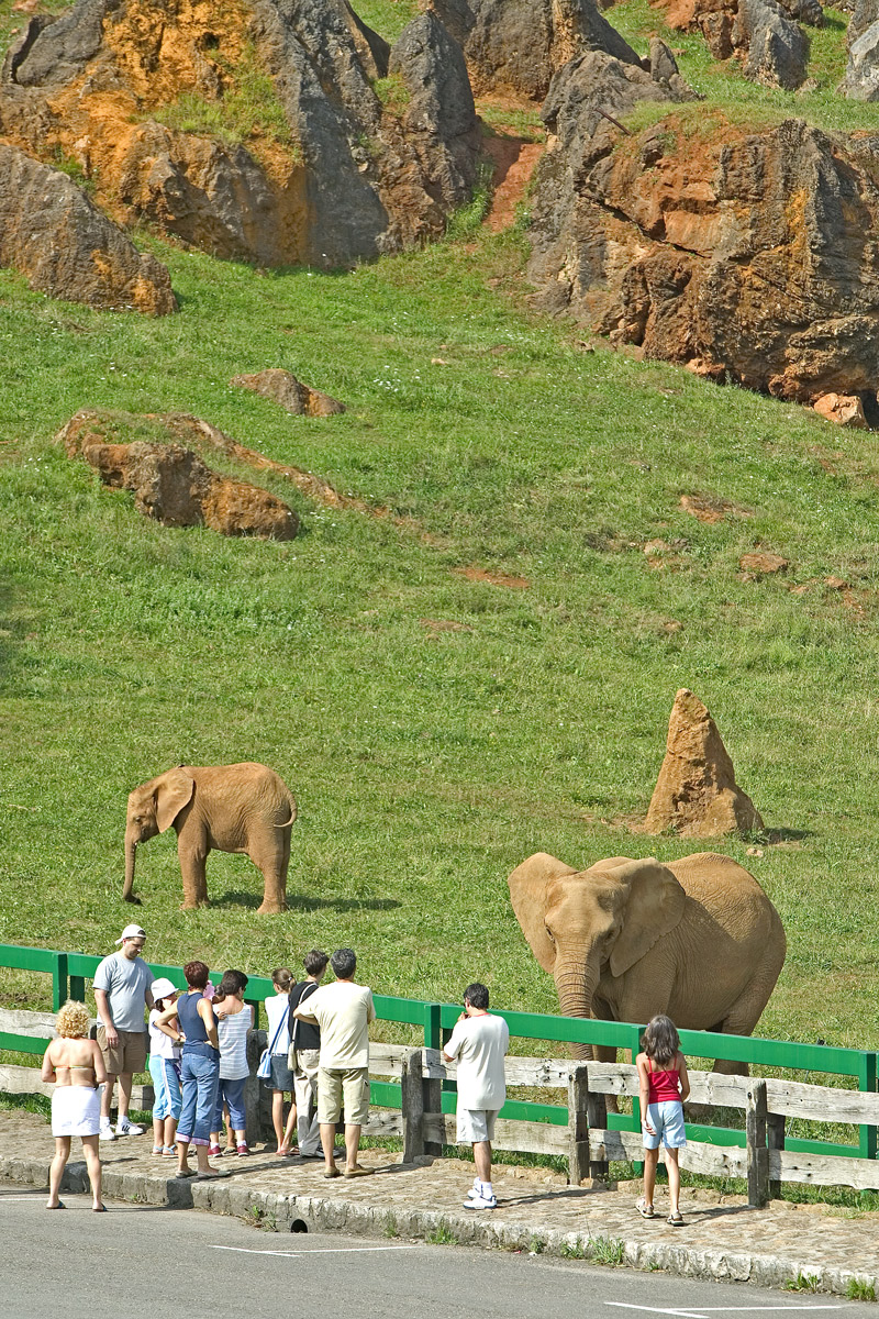 ZoosdelMundo's tweet image. 🔴 #ÚLTIMAHORA: Fallece un trabajador de @PCabarceno tras ser golpeado por un elefante.

El empleado era un especialista en el cuidado de los elefantes con más de 20 años de experiencia en el Parque de la Naturaleza de #Cabárceno.

📷 Parque de la Naturaleza de Cabárceno