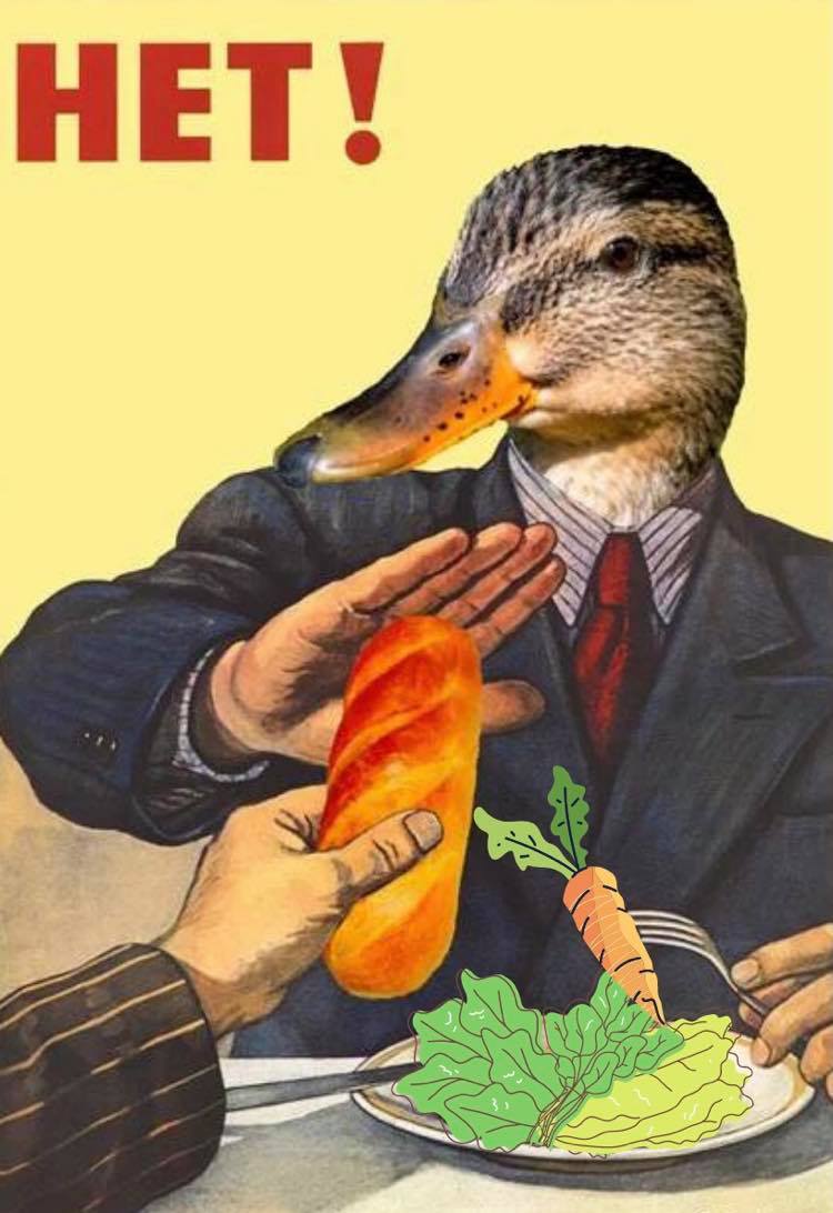 Iedvesmojoties no mana vakardienas gulbju, pīļu, maizes un bēdu stāsta, draudzene tīmeklī sameklēja ikoniska plakāta variāciju un to pavariēja/pielāgoja vēl maziet tālāk. 

Manuprāt, forši sanācis, variet droši RT, ņemt un izmantot, kur patīk, printēt ārā, līmēt pie stabiem utt.