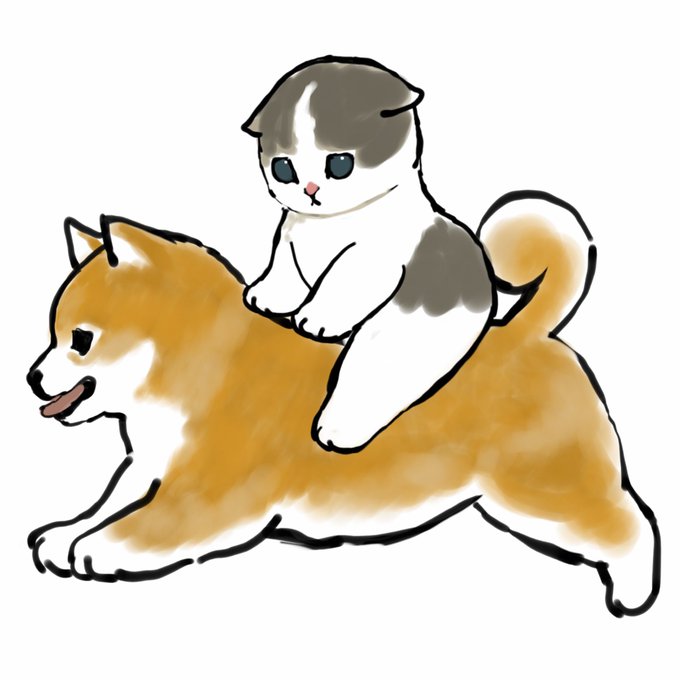 「黒目 柴犬」のTwitter画像/イラスト(人気順)