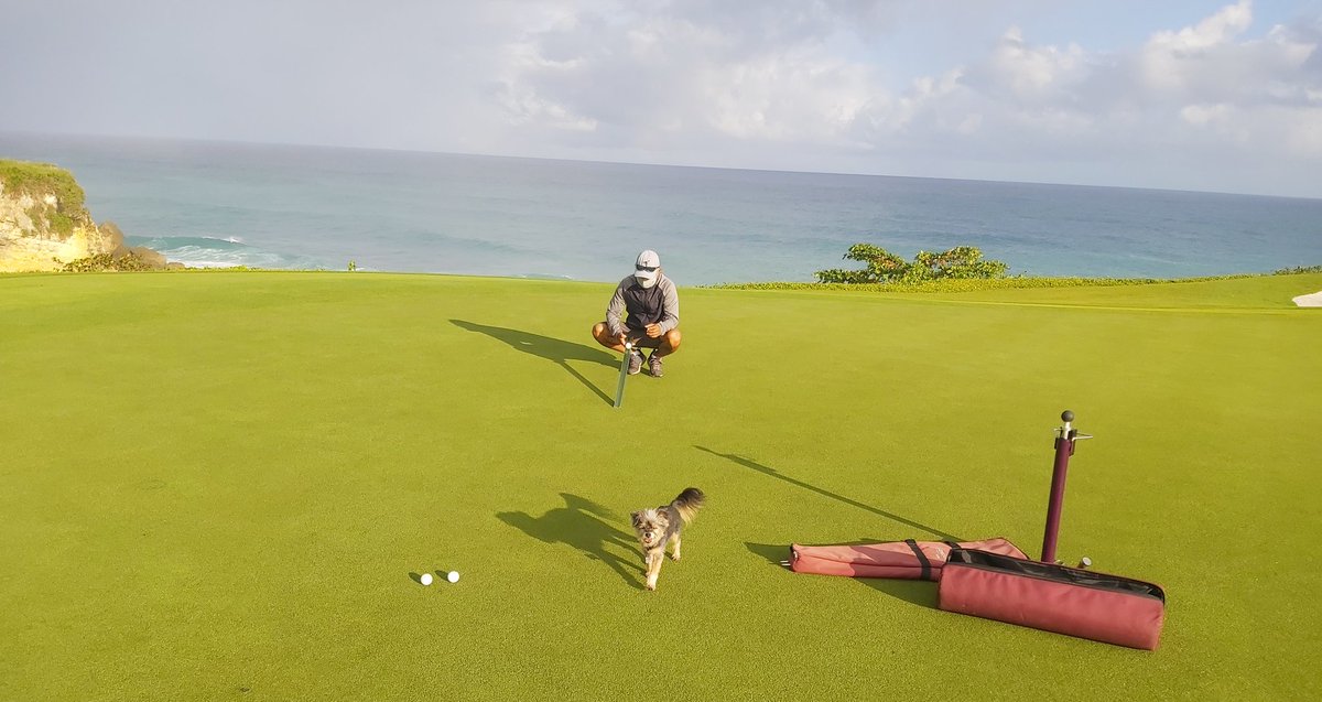 Damon Di Giorgio (@ncsuturf) on Twitter photo #morningmetrics not as early as <a href="/turfmonkeyboy/">john reilly</a> but <a href="/Pinki_DiGiorgio/">Pinki</a> assisting with the measurements <a href="/DogsOfTurf/">Dogs Of Turf</a> #morningmetrics not as early as <a href="/turfmonkeyboy/">john reilly</a> but <a href="/Pinki_DiGiorgio/">Pinki</a> assisting with the measurements <a href="/DogsOfTurf/">Dogs Of Turf</a>