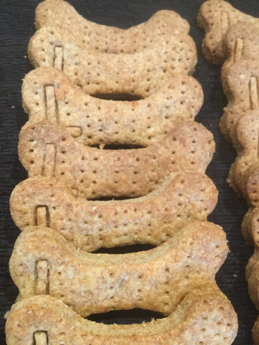 Leocharleyandme's tweet photo. On #dogbiscuitappreciationday you can bake your dog some tasty treats quite easily and they will love you for it!
Check out our blog with recipes for Leo and Charley’s favourite home bakes. 🐾
https://t.co/WYDR0AYSXl…
#bakefordogs
#homemadedogbiscuits
#dogbiscuitappreciationday https://t.co/ROTgmGcOSj