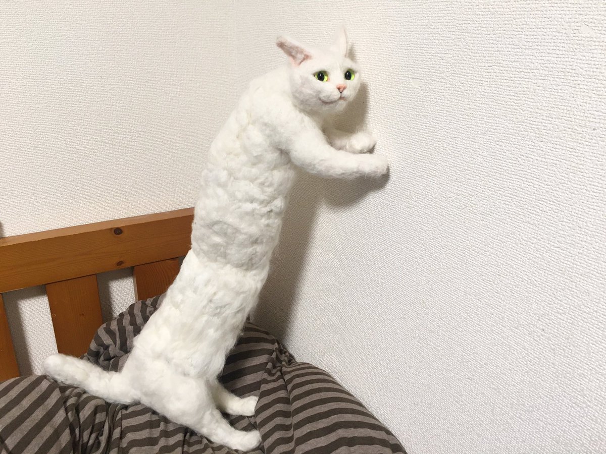 人工猫ウ 徐々に伸びる猫 成長記録3 全長cm ちくわ7本分の長さ コメント かわいい 徐々に伸びる猫 世界一癒されない猫カフェ T Co Bnlxlvmmwr Twitter 人工猫ウ 徐々に伸びる猫 成長記録3 全長cm ちくわ7本分の長さ コメント かわいい 徐々に伸びる猫 世界一癒されない猫カフェ T Co Bnlxlvmmwr Twitter