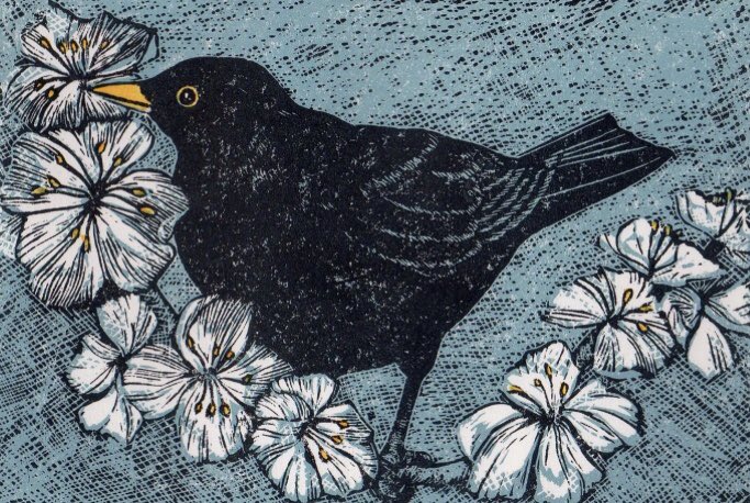 frome_maude's tweet photo. The Celtic goddess Rhiannon has 3 magical blackbirds, whose singing imparts the mystic secrets of the otherworld &amp; lulls the living to sleep so they can journey in trance. In our world the blackbird sings at dusk &amp; dawn - times of shifting &amp; transformation. #FairyTaleTuesday https://t.co/Ty0o8SlQqu