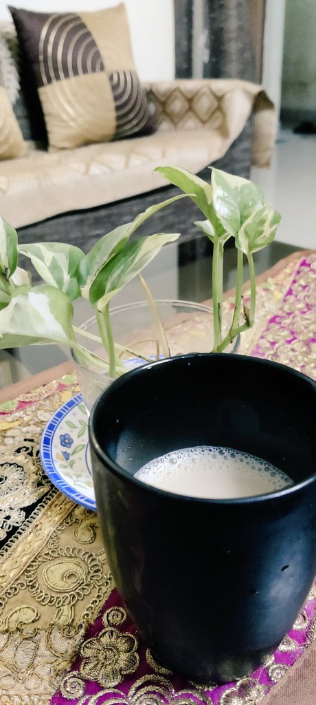 SShrivastri's tweet photo. Evening with coffee ☕#coffee #evening #SweetHome #loveforhome #peaceofmind https://t.co/6f3cnuEgR7