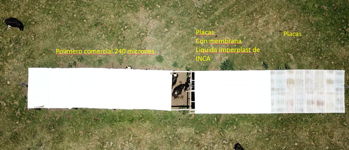 Cuando la sombra es mas que bienestar animal y mayor produccion de leche, es tambien reciclado de plasticos. Probando placas plasticas de proyecto @conaprole <a href="/ctplas/">vip112</a> @uruplacrecicla @andeuruguay en <a href="/INIA_UY/">INIA URUGUAY</a> La Estanzuela #economiacircular