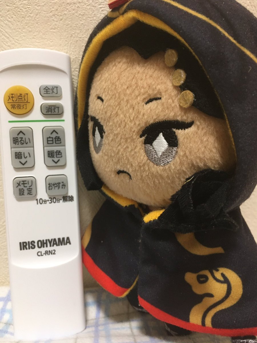 すなぎも こるり On Twitter ぬぬゆ 電気消すからな じゃみぬい自分でリモコン操作のトレーニングしてたよねって言ったら自分でやるようになった
