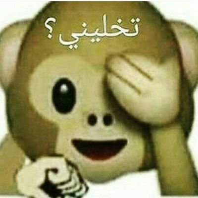 مساء الفل وين السوالب انا موجود