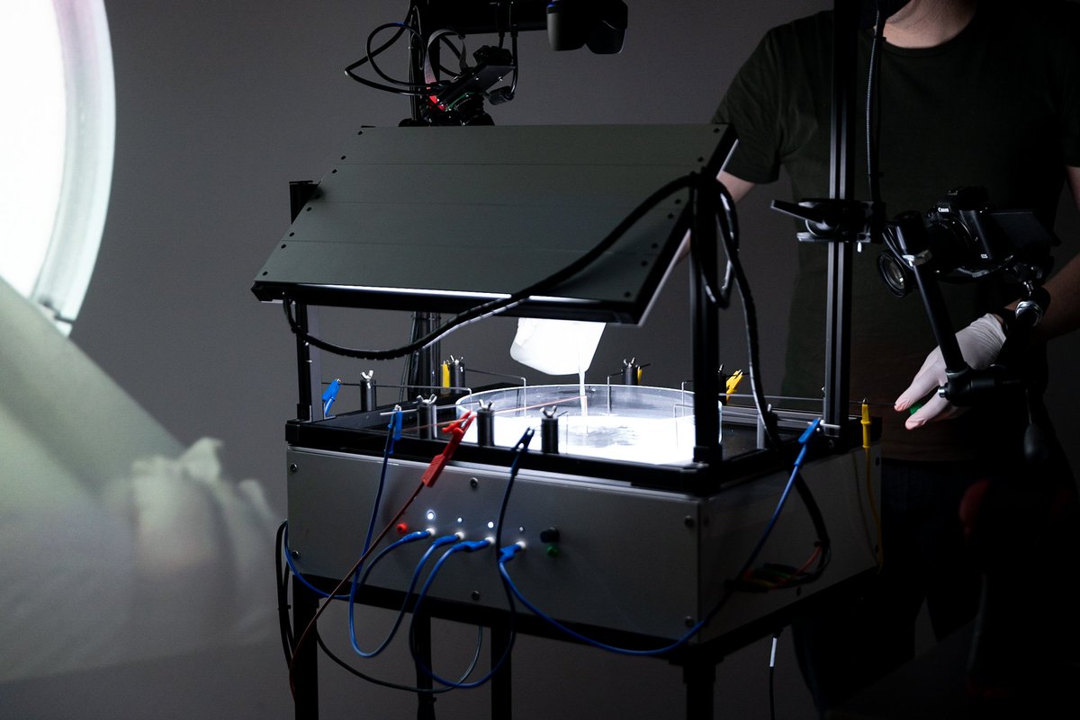 ralf baecker tweet media