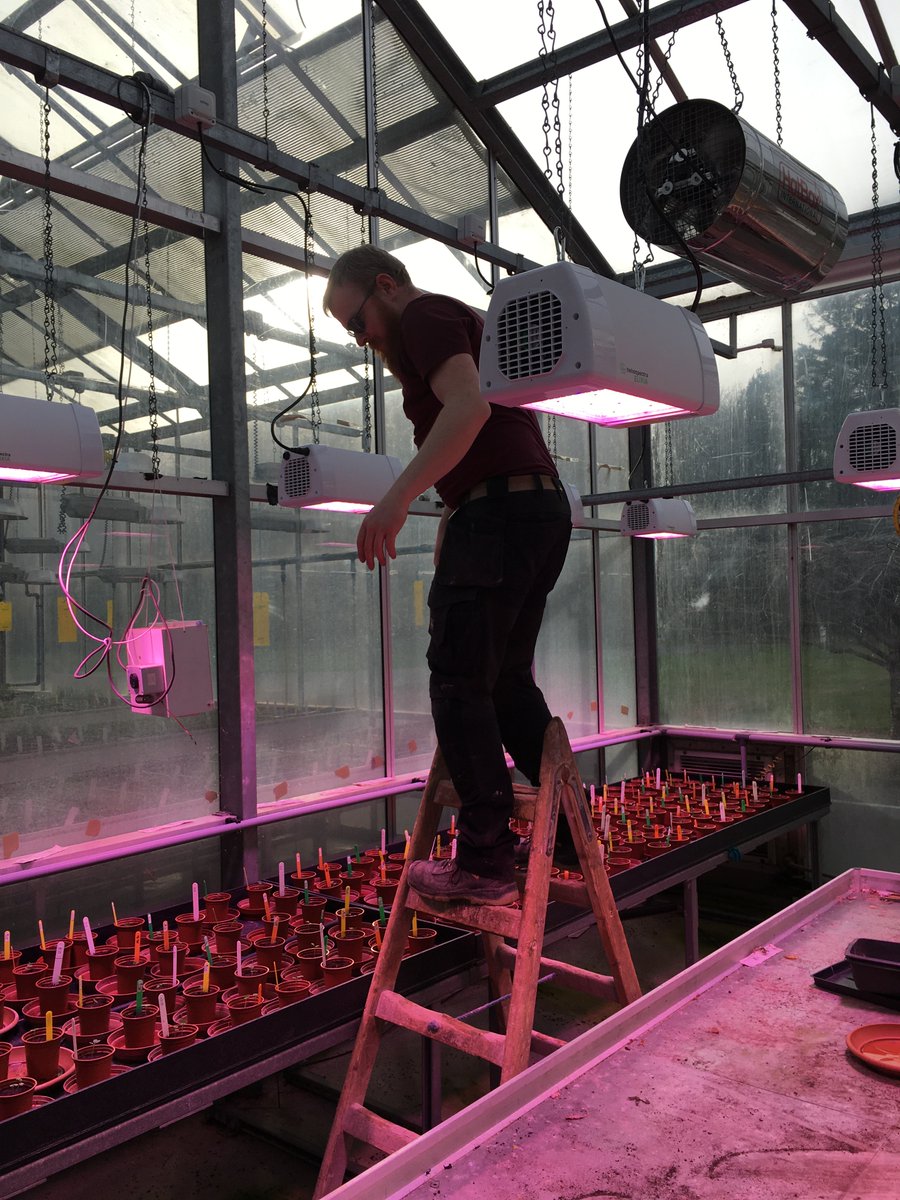 DRaj_Rathore's tweet photo. Got @Heliospectra #ledlights done in one more bay of our #glasshouse facility @teagasc  Oak Park https://t.co/TzpriKtTm9