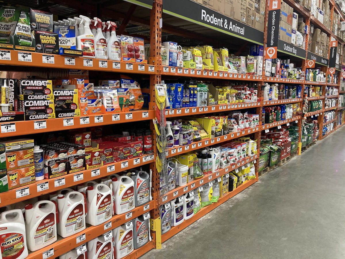 D28 is grand opening ready today- #LanderLegends are ready for business!  #D19MerchMadness @JKirkHD @Ken_D19DM