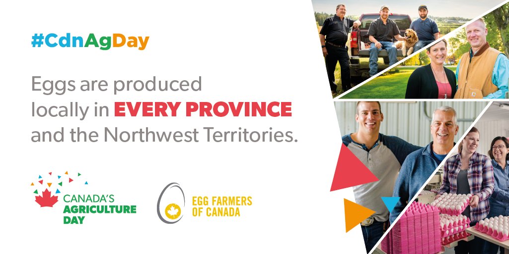 Happy #CdnAgDay!🎉 Today we’re celebrating Canada’s 1,100 egg farming families who work year-round to make sure Canadians have access to fresh, local, high-quality eggs.