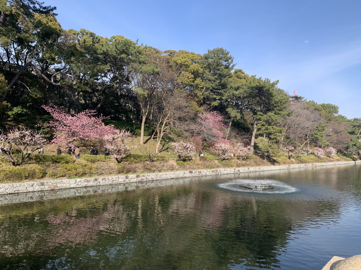 get764's tweet photo. Spring is just around the corner at Minami-Horihata in Matsuyama city. #cherryblossoms https://t.co/7uEgNh7RMI
