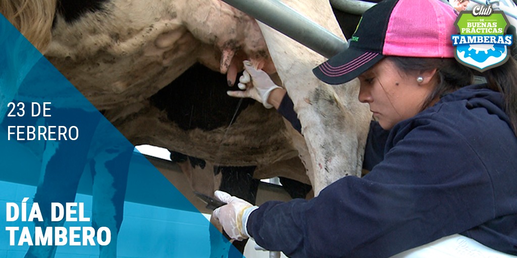 #Hoy celebramos el #DíadelTambero 🐄 en conmemoración a la creación de la Unión General de Tamberos en  1920. Saludamos a todos los trabajadores y trabajadoras del #tambo que con su labor diaria contribuyen al desarrollo de una de las cadenas fundamentales: la #láctea🥛