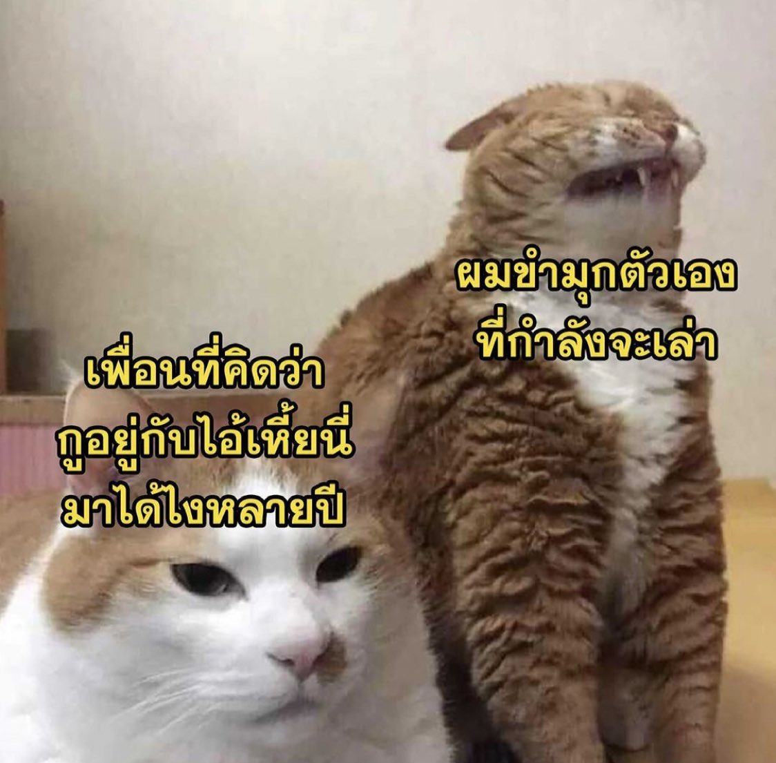 กูกับเพื่อนเพื่อนกันตลอดไป 5555555555555555555555555555555