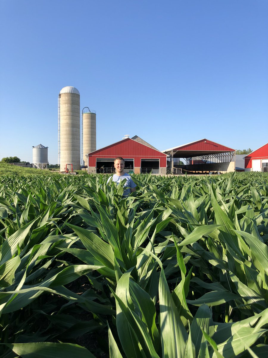 Jeroen Slits tweet media