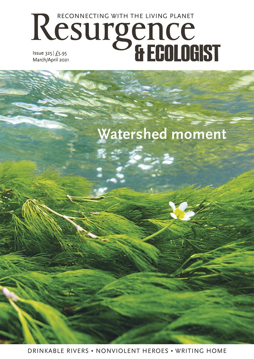 Zena Holloway (@zenaholloway1) on Twitter photo Delighted to be supporting <a href="/Resurgence_mag/">Resurgence Trust 🌎</a> with cover and content in their latest issue - Watershed Moment. Delighted to be supporting <a href="/Resurgence_mag/">Resurgence Trust 🌎</a> with cover and content in their latest issue - Watershed Moment.