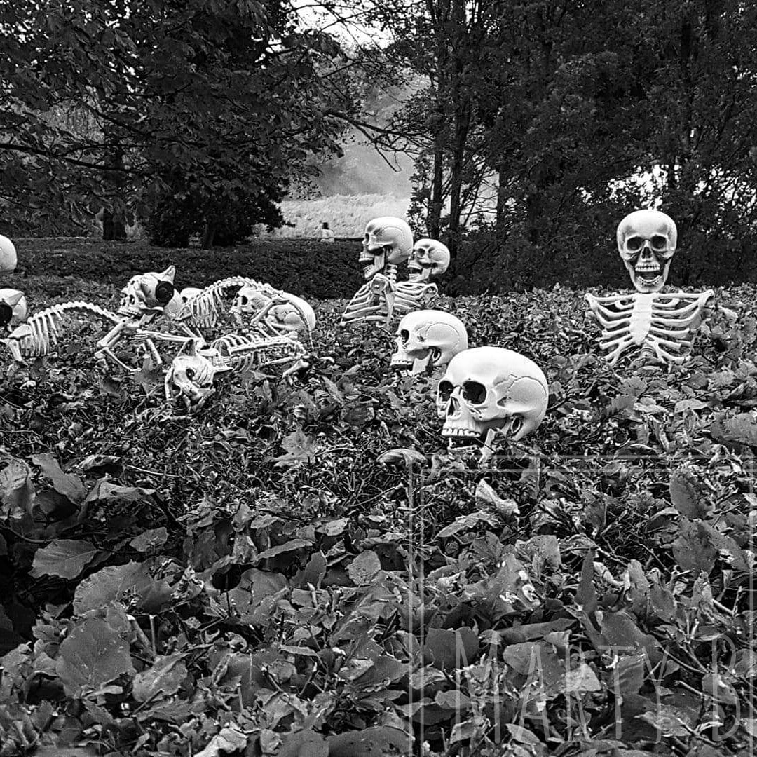 He says hes lifting Lockdown!