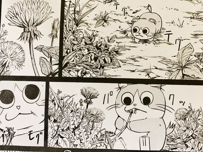 ちょいと疲れたので、仮眠しますーん。 