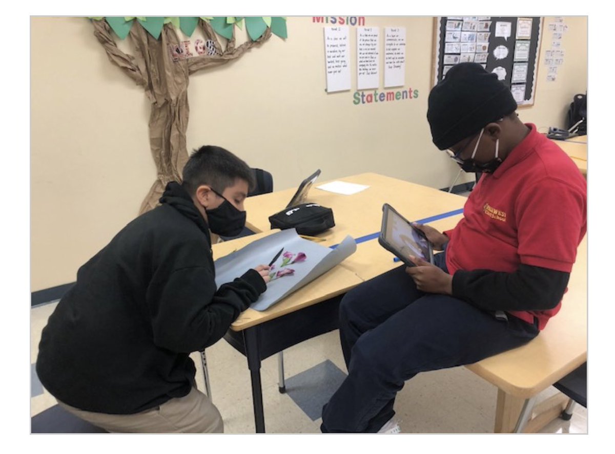 palms_west's tweet photo. 5th-grade learned the internal and external structures and functions of plants by dissecting flowers. They observed the parts of a flower and learn how each part is involved in helping a plant continue its growth for another generation. https://t.co/9mjHWprjEd