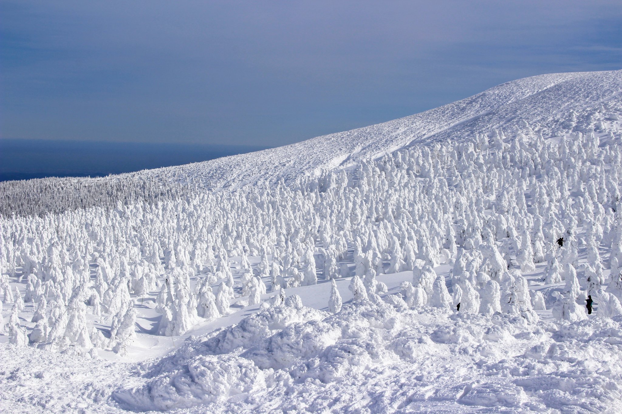 Te2 蔵王山頂での樹氷 先日初めて蔵王の樹氷をみることが出来ました ユニークな形の物がたくさんあり 今にも動き出しそうでした 蔵王樹氷 蔵王 山形 樹氷 スノーモンスター 雪 カメラ好きな人と繋がりたい ファインダー越しの私の世界 旅行