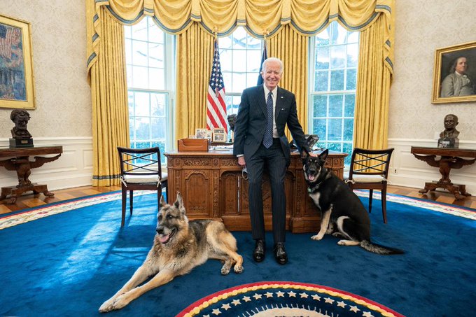 President Biden poses with Champ and Major in the Oval Office