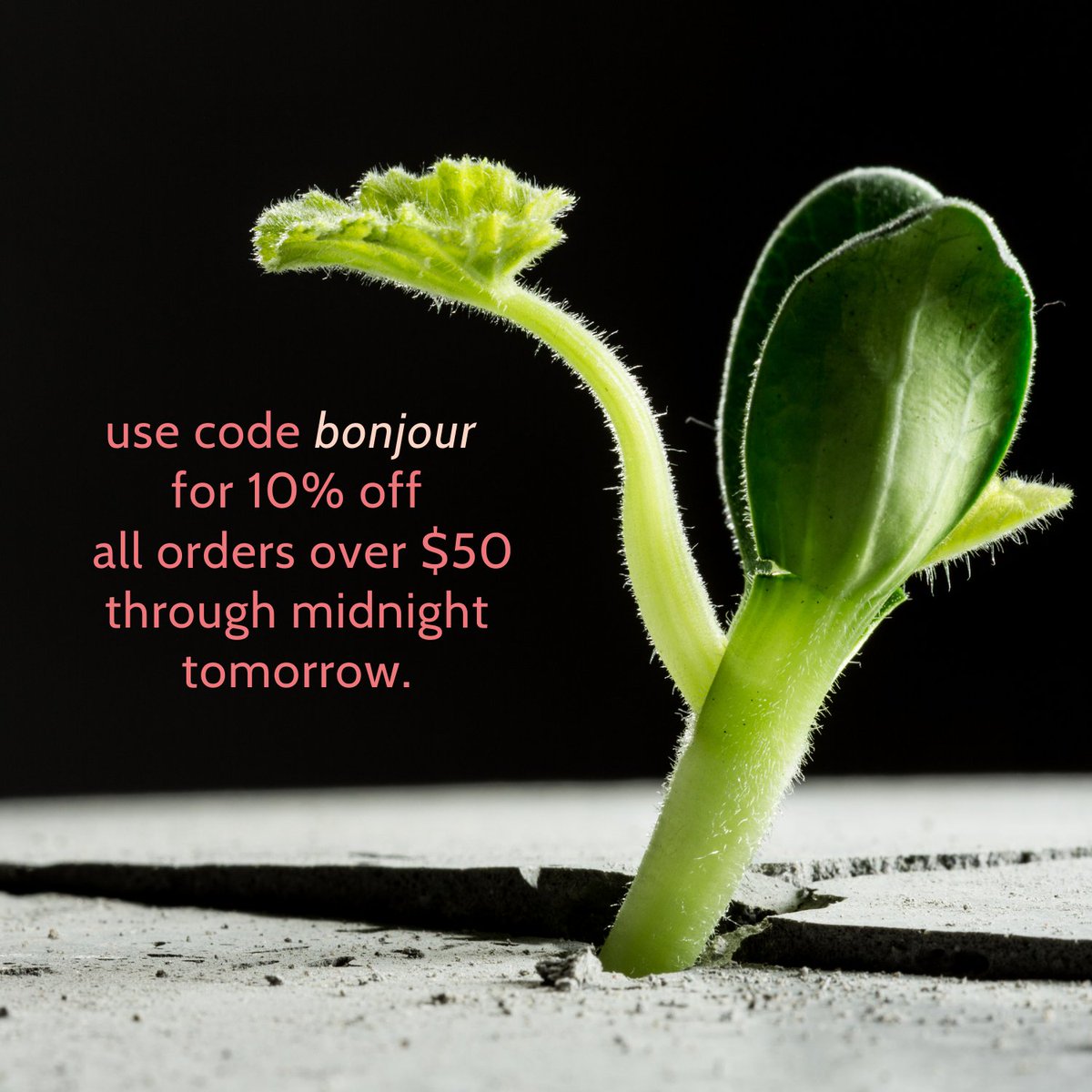 Our doors may open soon, but our site is live !! #sophisticatedsips #soberglow #bottleshop #bonjour #brooklyn #cobblehill #boisson