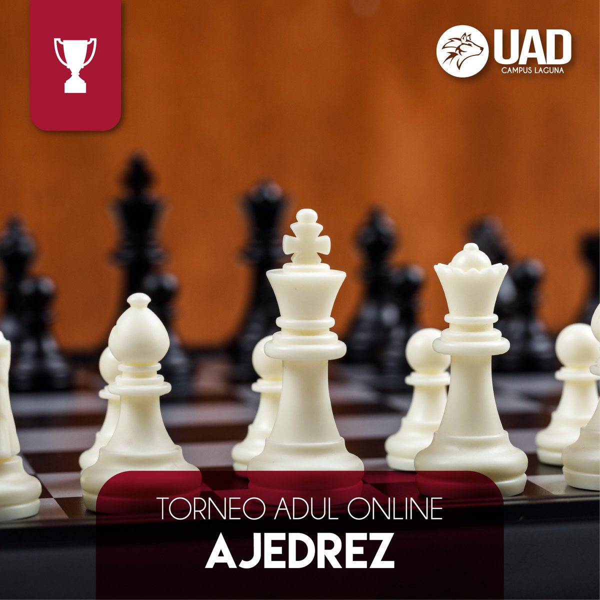 UADLaguna's tweet photo. Te invitamos a representar a la UAD campus Gómez Palacio al torneo online de ajedrez organizado por la ADUL.

+ info. al 87 11 45 42 79 Coach Rodrigo Soto 
#siempregrandes #siemprelobos https://t.co/czdYQhX7lr