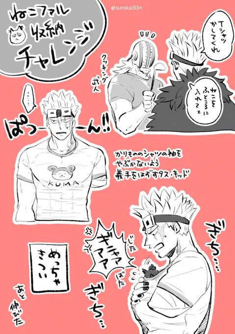 🌷による ねこファル収納チャレンジ
うすぼんやりキドロ 