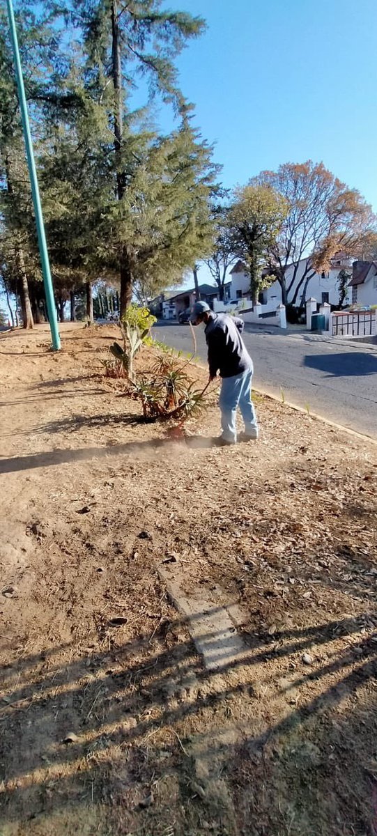 Ac_Sayavedra's tweet photo. Trabajamos para conservar tu entorno. Personal de #mantenimiento realizó esta mañana limpieza en Boulevard #Sayavedra, frente a Castillo de Dublín.🍁 🍁 https://t.co/A8lbZFi2X9