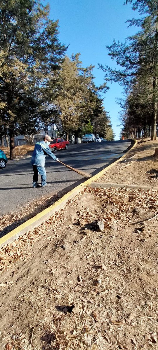 Ac_Sayavedra's tweet photo. Trabajamos para conservar tu entorno. Personal de #mantenimiento realizó esta mañana limpieza en Boulevard #Sayavedra, frente a Castillo de Dublín.🍁 🍁 https://t.co/A8lbZFi2X9