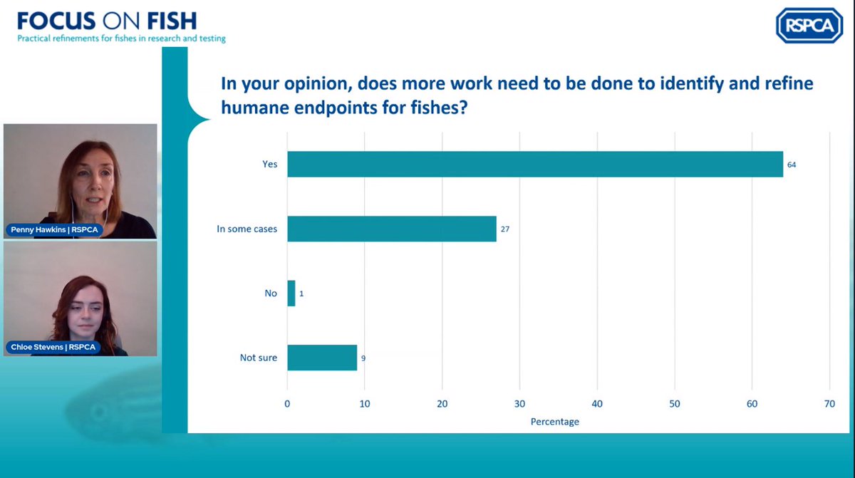 RSPCA_LabAnimal's tweet photo. A clear majority of participants at #FocusOnFish believing there is scope, and a need, for implementing more refined humane endpoints for fishes used in research and testing... https://t.co/ff22iDN2o1