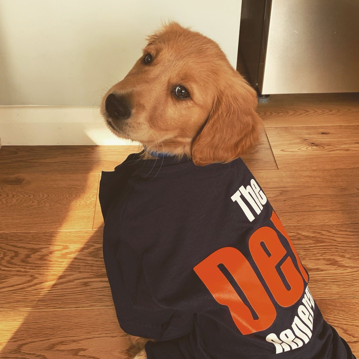 dextofficial's tweet photo. If you are a member of our community #OrangeSelect, you can complete challenges and get a #DextGeneration t-shirt. If you are not a member yet – don't worry – you can join for free here: https://t.co/3yJZfmLhCq https://t.co/T2ODlwYqpI