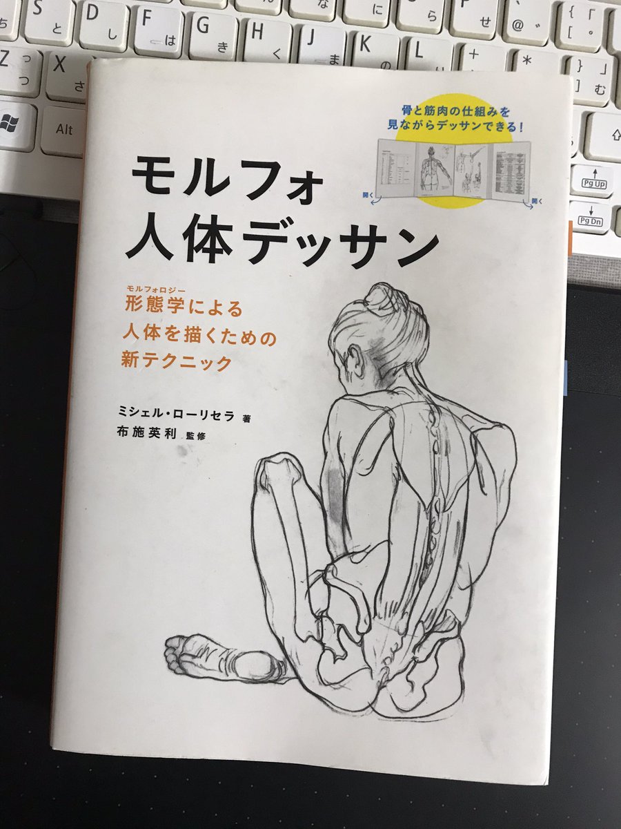 ポケモン モルフォ人体デッサンを全ページ模写とりあえず1周し終えたので やり始めた頃に描い もりお Pkmn垢の漫画