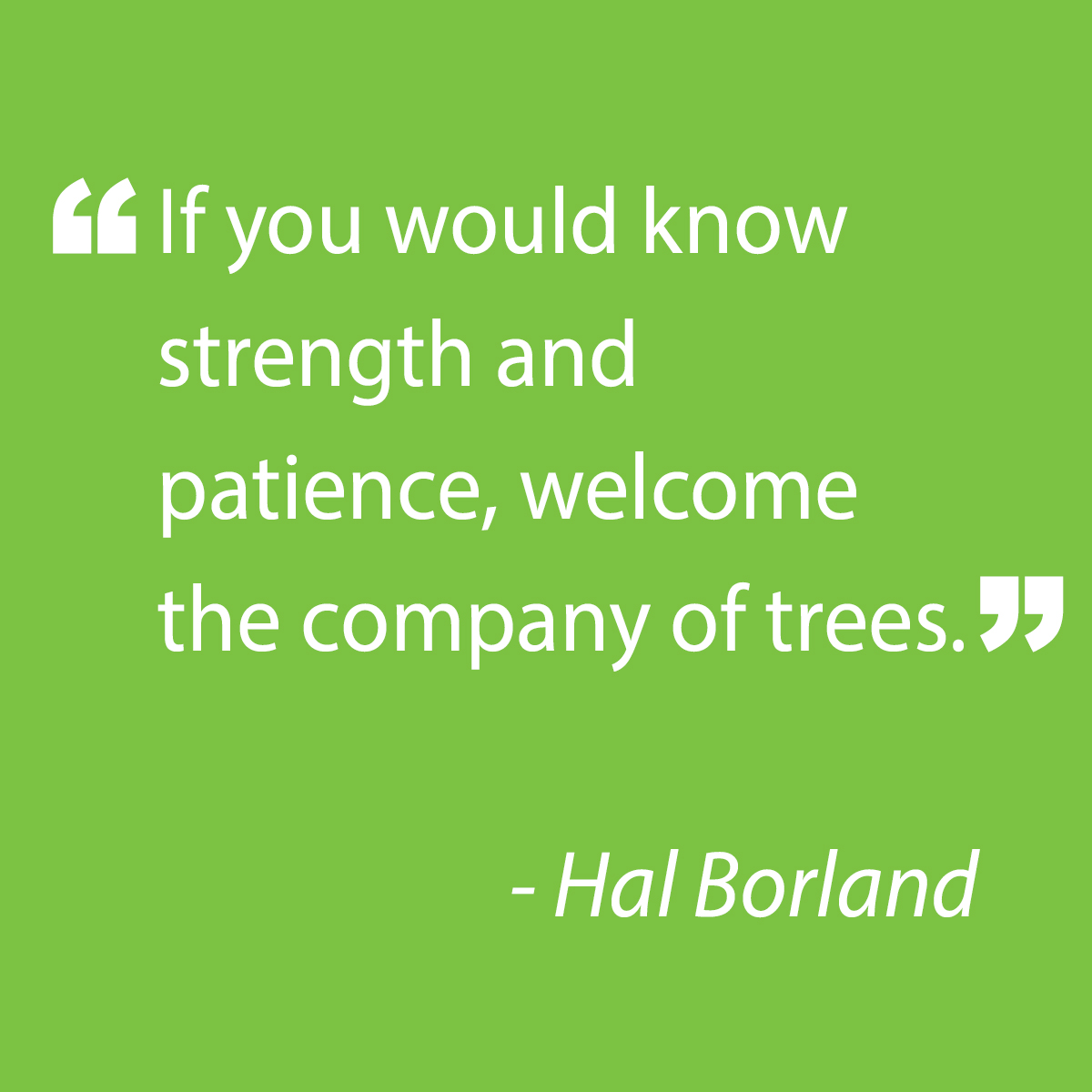 Our holistic consulting services include house-calls, tree protection plans, tree inventory and management planning, as well as hazardous tree evaluations.
<a href="/samhilltreecare/">Sam Hill Tree Care</a> #treecare #dallastree #gardening #landscape #dallaslandscape #fertilizing