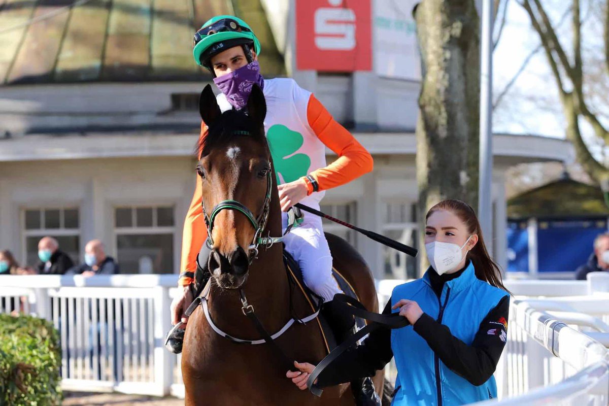 H208Oliveira's tweet photo. Neriano 🟠🟢
#HorseRacing #Germany #racebets #Dortmund #startoftheseason https://t.co/Mrt8z5fogV