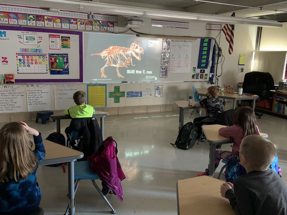 Virtual field trip with the <a href="/FieldMuseum/">Field Museum</a> learning about Sue!!