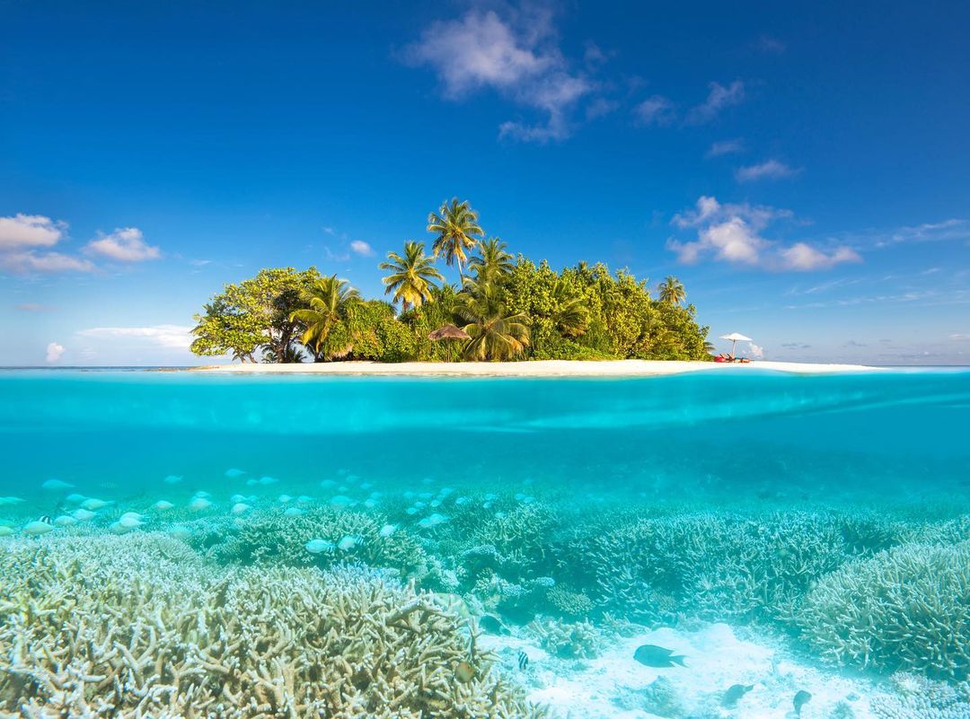 visitmaldives's tweet photo. Geographically dispersed islands, ensuring safety and privacy for your tropical vacation.

📷: wmaldives via IG

#WorldsLeadingDestination #Maldives #VisitMaldives #SunnySideOfLife https://t.co/RpGVEPSp39