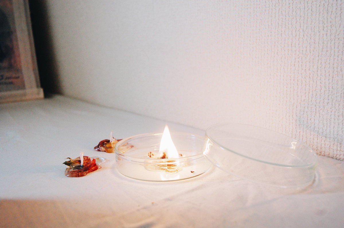tuci_candle's tweet photo. 花びらを閉じこめる。coming soon https://t.co/jIYVPiEyzI