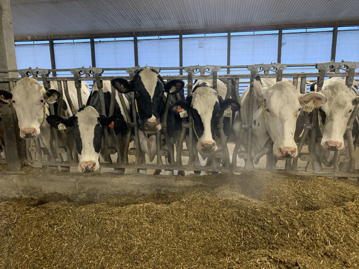 Crystal Geer tweet media