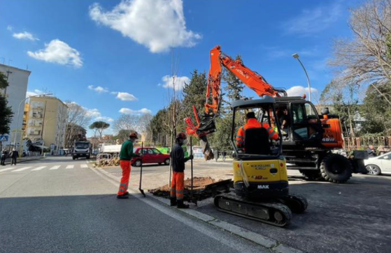 virginiaraggi's tweet photo. Nel quartiere di Tor Marancia, precisamente in via Odescalchi, stiamo piantando 117 alberi. Si tratta di un intervento che hanno voluto i cittadini e che abbiamo realizzato all’interno del percorso partecipativo #RomaDecide: https://t.co/aLf374BDVC https://t.co/HLcE9MSKtt