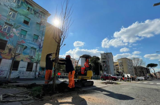virginiaraggi's tweet photo. Nel quartiere di Tor Marancia, precisamente in via Odescalchi, stiamo piantando 117 alberi. Si tratta di un intervento che hanno voluto i cittadini e che abbiamo realizzato all’interno del percorso partecipativo #RomaDecide: https://t.co/aLf374BDVC https://t.co/HLcE9MSKtt
