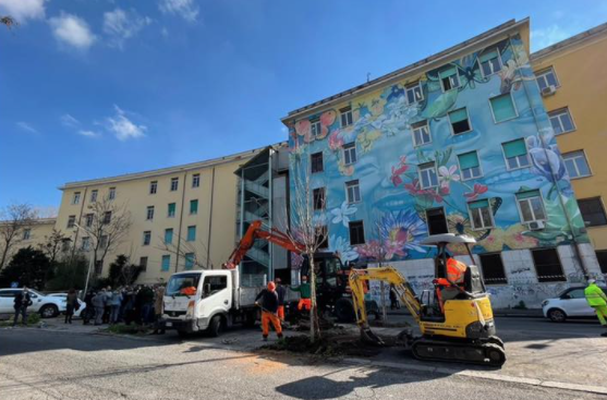 virginiaraggi's tweet photo. Nel quartiere di Tor Marancia, precisamente in via Odescalchi, stiamo piantando 117 alberi. Si tratta di un intervento che hanno voluto i cittadini e che abbiamo realizzato all’interno del percorso partecipativo #RomaDecide: https://t.co/aLf374BDVC https://t.co/HLcE9MSKtt
