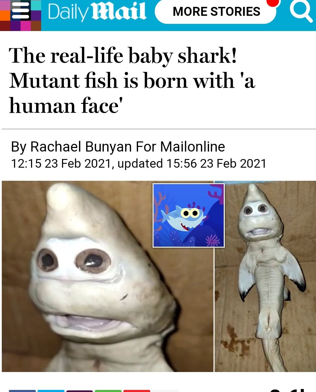 Oonagh Hands Up If You Aren T Surprised At The Daily Mail Thinking Human Faces Come With A Pointy White Hood T Co Yoli3kzbsk Twitter