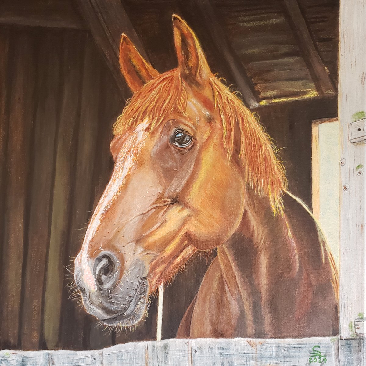 HorsesSaves's tweet image. Portrait of all-time favorite Finn 16x16" acrylic on stretched canvas will be for sale at Lifeline Horse Rescue and Rehabilitation, Inc. soon. 
All  proceeds will be used to take care of the rescues and to take on future challenges as the year 2021 is progressing into the spring.
