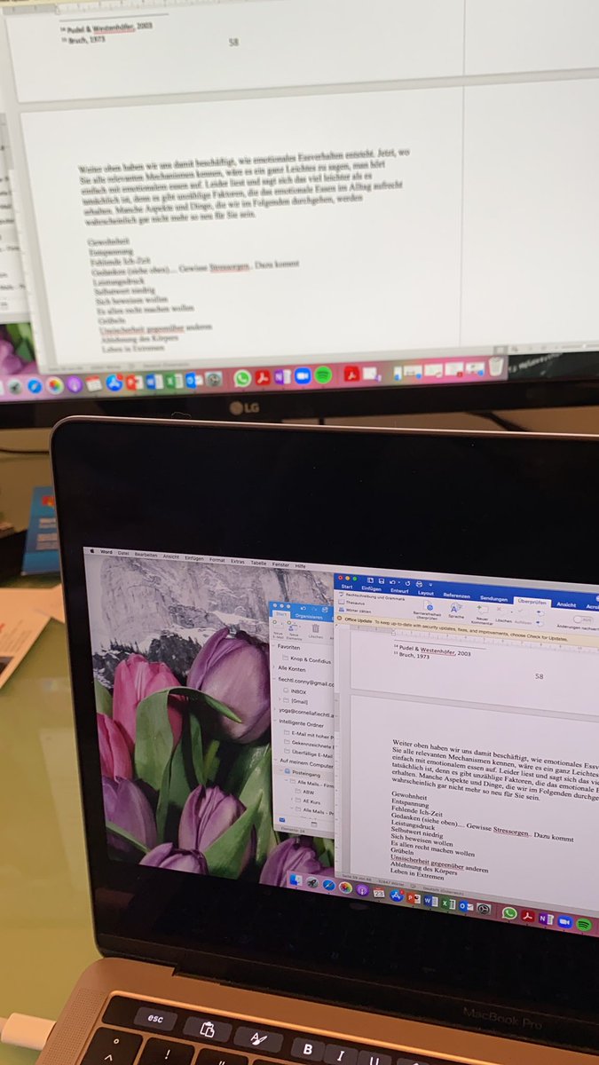 Wieder fleissig am Buch schreiben 👉🏼 Bald ist Manuskriptabgabe 😁😲 #ernährungspsychologie #jungautorin