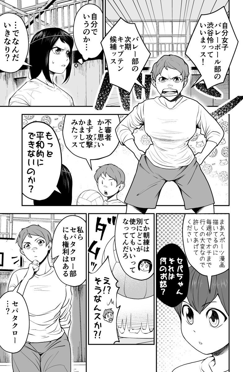 セパタクローとは 15 マイナースポーツ セパタクロー 創作漫画 あじなの漫画 セパタクローとは 15 マイナースポーツ セパタクロー 創作漫画 あじなの漫画