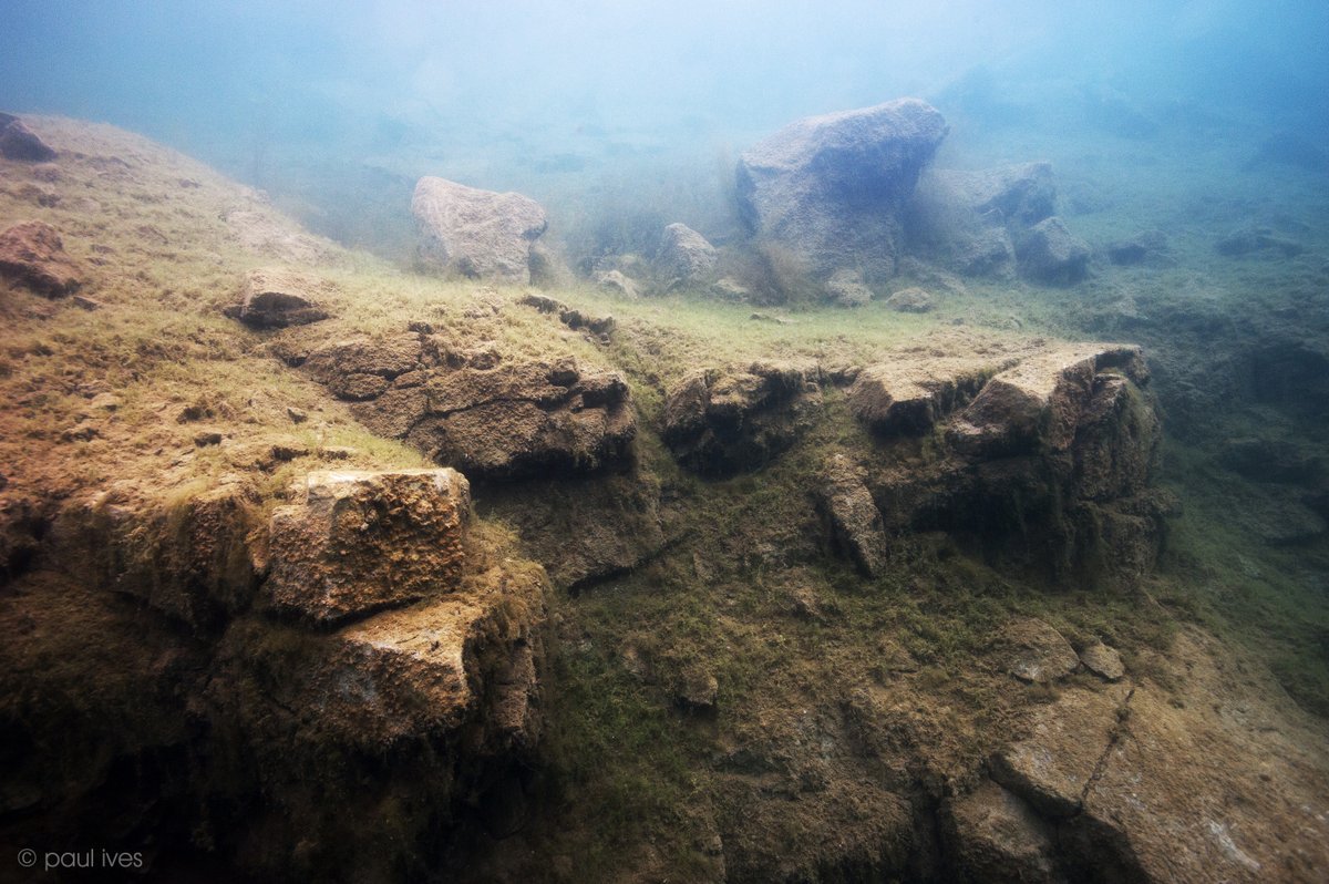 PaulIvesPhoto's tweet photo. Underwaterscape 2

An underwater scene taken at a well known Uk inland diving site..

#undertwaterphotography #professionalphotographer #thebipp #paulives #ukdiving #stonycove https://t.co/mDtom2wdlr