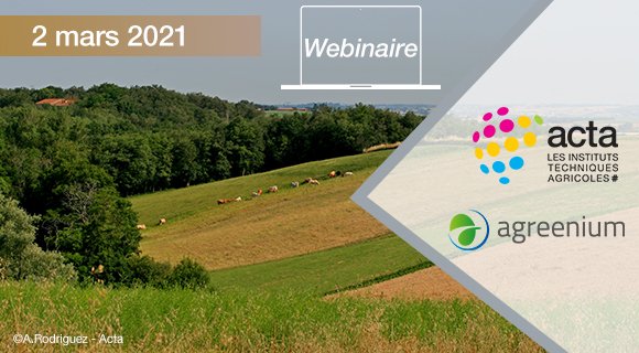 ACTA_asso's tweet photo. Association d’espèces végétales en #prairies permanentes, penser ce modèle pour les systèmes #agroécologiques avec S. FONTAINE @UREP19 #VetAgroSup Q. PIGNOL #GIEE V. GOUTIERS @Inra_Tlse #AGIR Nathalie VASSAL-COURTAILLAC @VetAgroSup #CapFlor
inscription https://t.co/wdHVsQASfJ https://t.co/u3AMZAOHKy