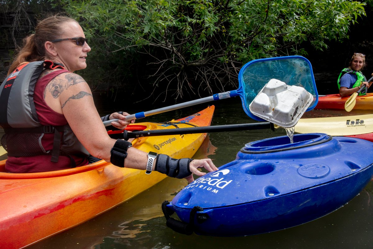 WildThingsChi's tweet photo. There are even more sessions lined up for Wild Things Part Two than there were for Part One!

Here's one you won't want to miss: "Kayak for Conservation: Leveling up Community Science on the Chicago River"

Friday at 3:30pm! Only at #WildThings2021 
https://t.co/xzyxm5YbZG https://t.co/Dr1pBLMsYF