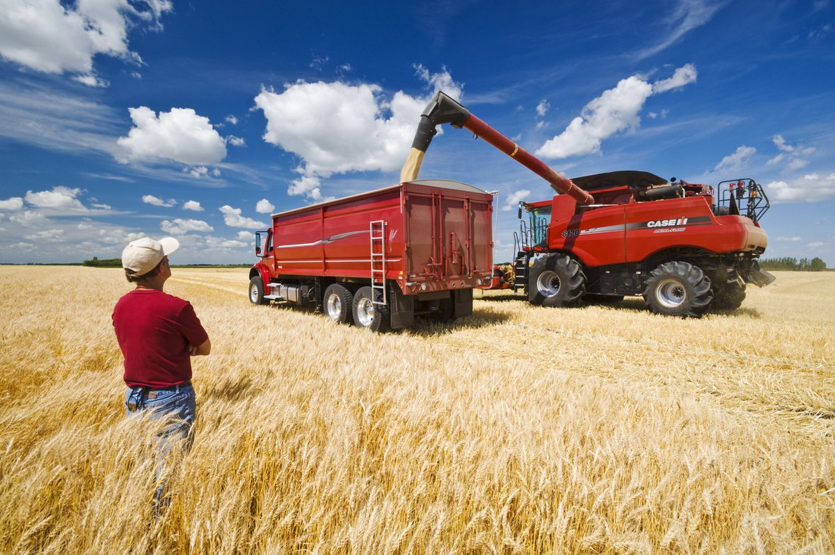 AAFC_Canada's tweet image. It’s #CdnAgDay! 🎉 Today, we celebrate the people that make our food so great.